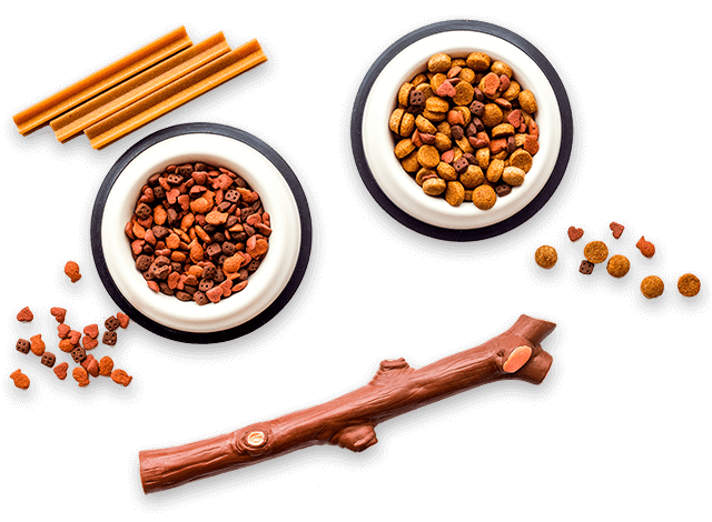 imagen sobre nosotros